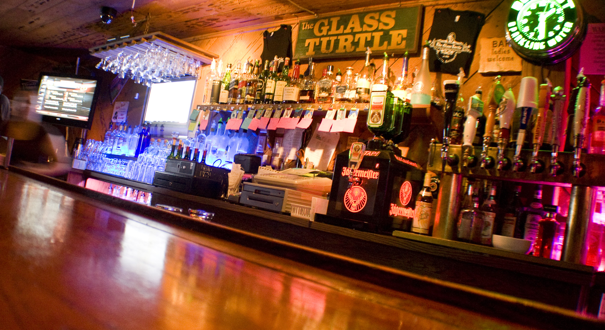 The Glass Turtle